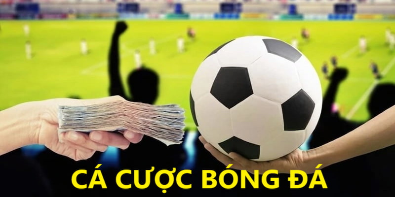 Cá Cược Bóng Đá