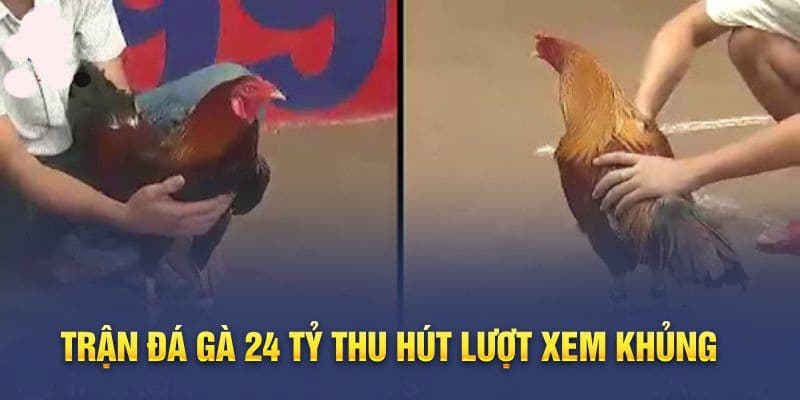 Trận chiến 24 tỷ giữa Mít Trà Cú và Phúc Barca