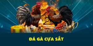 Đá Gà Cựa Sắt