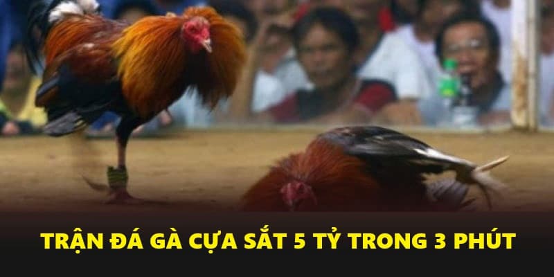 Ván đấu 5 tỷ trong 3 phút