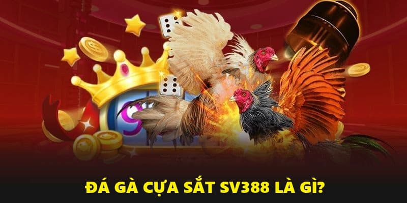 Giới thiệu về đá gà cựa sắt SV388