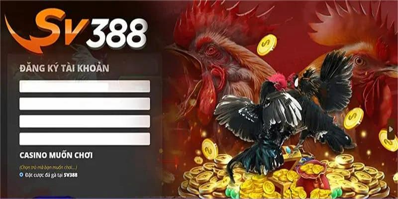 Ưu đãi không giới hạn khi tạo tài khoản thành công