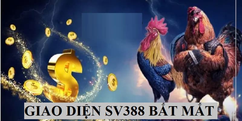 Sở hữu nhiều thiết bị hiện đại nên các đồ họa hình ảnh được điều chỉnh sắc nét, bắt mắt