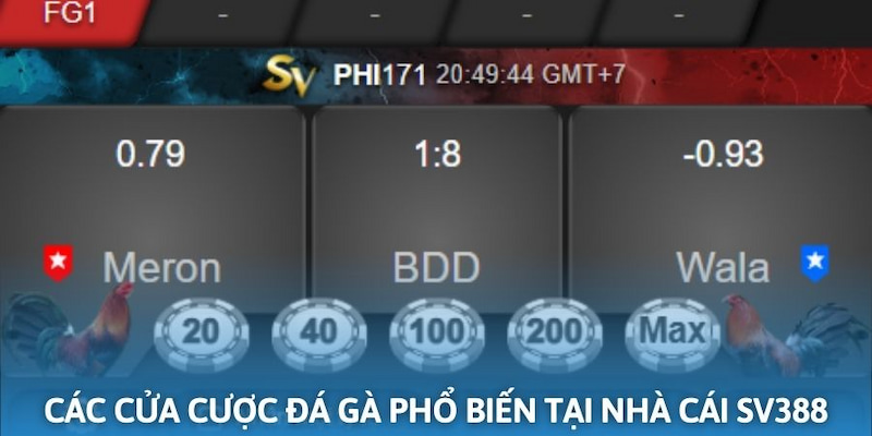 Cơ chế đặt cược đá gà phổ biến tại nhà cái SV388