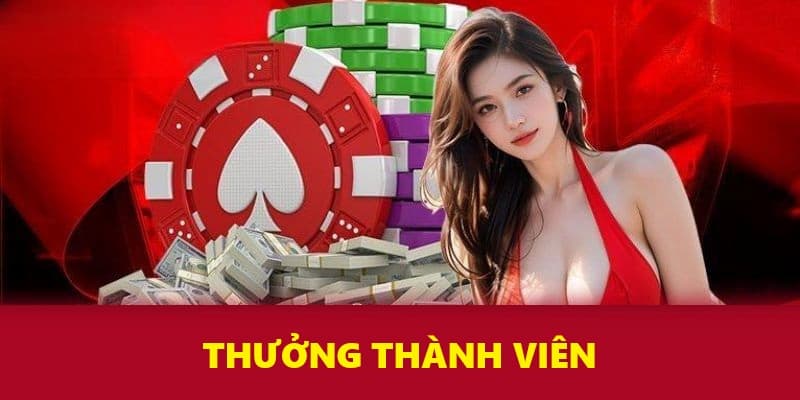 Thưởng Thành Viên