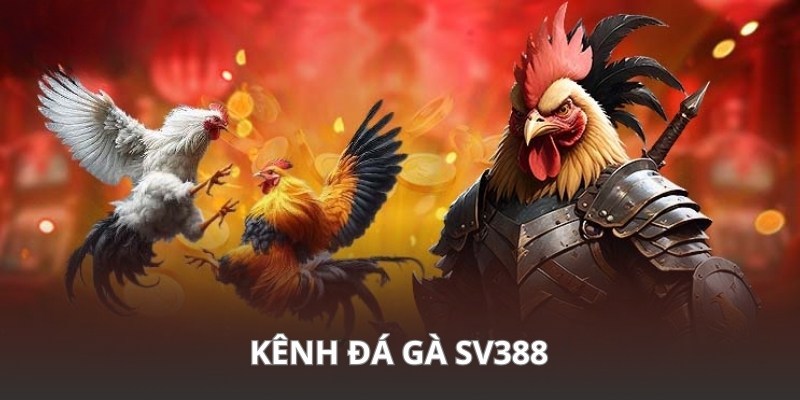Xem lại video đá gà SV388 dễ dàng tại kênh phát sóng