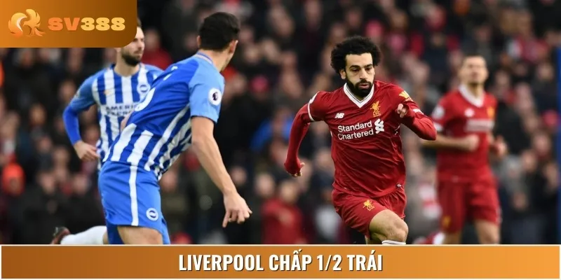 Ở kèo châu Á, có thể đội khách Liverpool sẽ chấp 1/2 trái