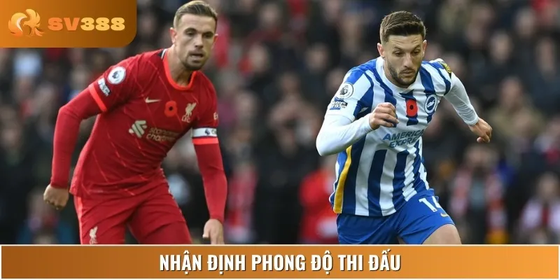 Phong độ thi đấu hiện tại của cả Brighton & Hove Albion vs Liverpool