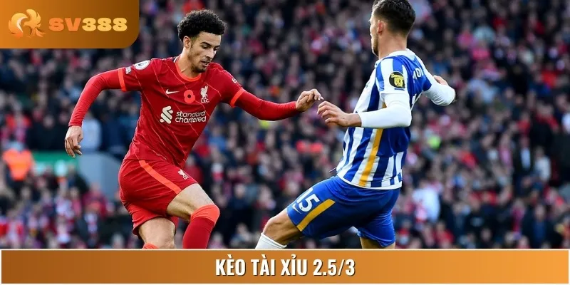 Kèo Tài Xỉu trong trận đấu này được đánh giá ở mức 2.5/3