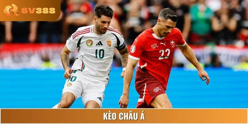 Trong kèo châu Á ở trận Hungary vs Thụy Điển cho thấy diễn biến trái chiều