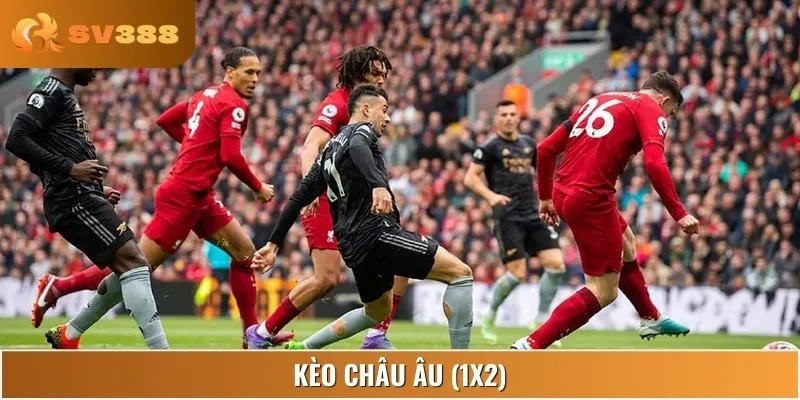 Các thể loại kèo cược trận Liverpool vs Arsenal