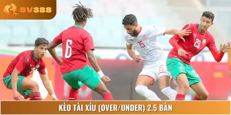 Ở kèo tài xỉu, có khả năng trận đấu Morocco vs Tunisia sẽ xuất hiện 2.5 bàn
