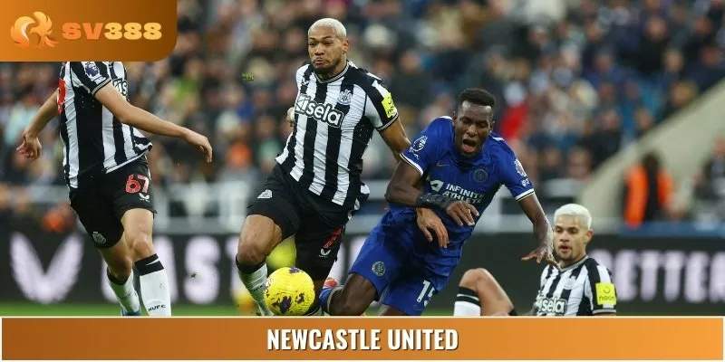 Đội hình đấu giữa Newcastle United vs Chelsea