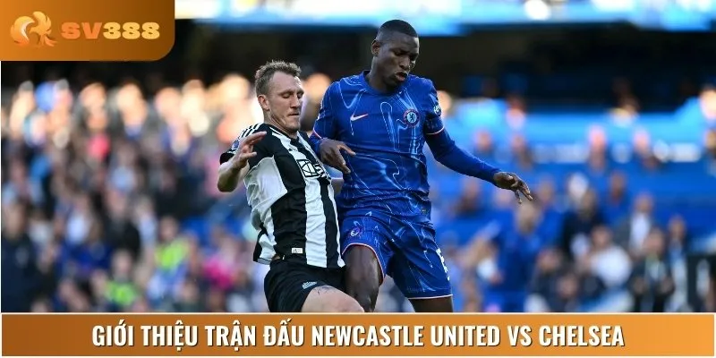Lịch thi đấu trận Newcastle United vs Chelsea