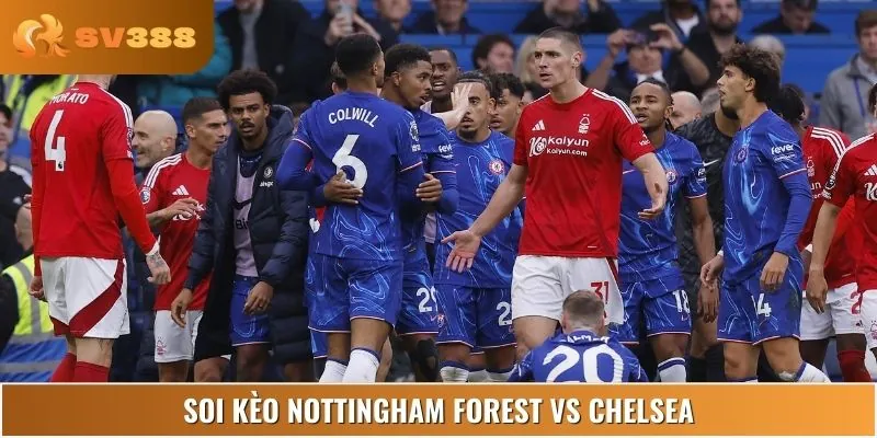 Gợi ý kèo Nottingham Forest vs Chelsea sáng giá dành cho nhà đầu tư