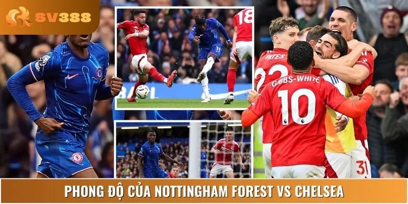 Phong độ đối lập giữa Nottingham Forest vs Chelsea giai đoạn nước rút