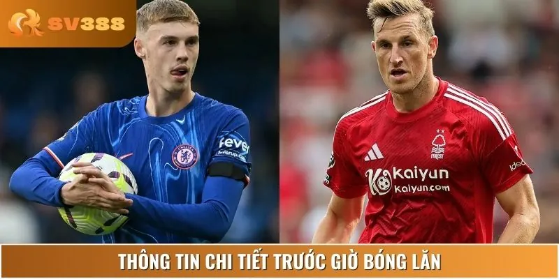 Sơ lược về Nottingham Forest vs Chelsea trước giờ bóng lăn