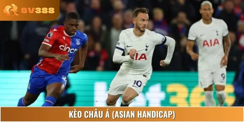 Danh sách các loại kèo cược trận Tottenham vs Crystal Palace
