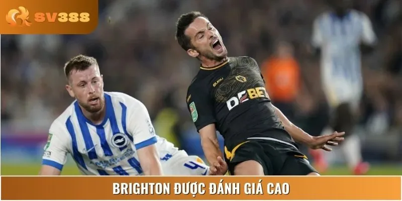 Brighton được đánh giá cao hơn về cả phong độ và lối chơi