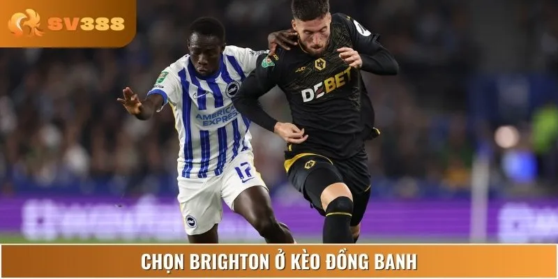 Ở kèo đồng banh, Brighton & Hove Albion được đánh giá cao hơn