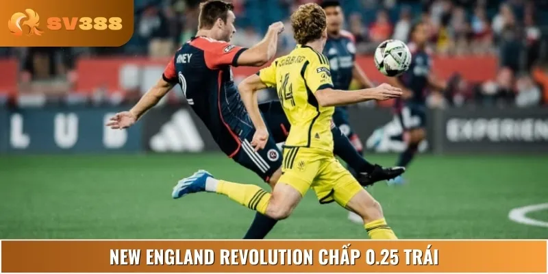 New England chấp nhẹ, đội chủ nhà có lợi thế sân nhà và phong độ ổn định