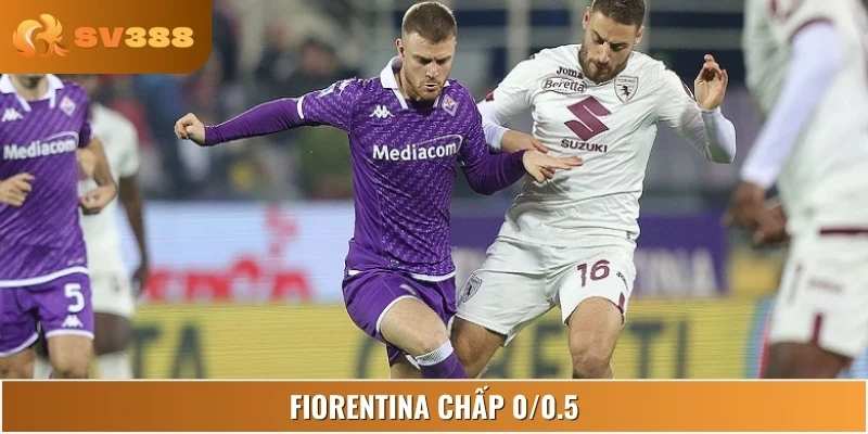 Fiorentina cửa trên nhẹ, phong độ tốt hơn, đáng để đặt niềm tin