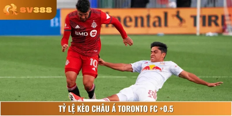 Toronto FC được đánh giá có thể gây khó dễ cho đội khách Red Bulls