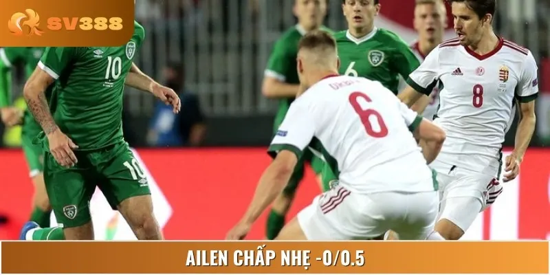 Nhà cái đánh giá Ailen nhỉnh hơn Hungary nhờ lợi thế sân nhà