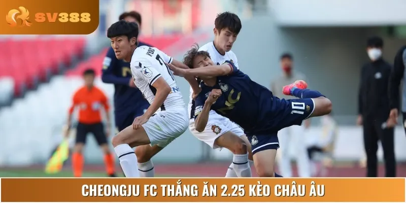Tỷ lệ thắng hấp dẫn nếu Cheongju tận dụng tốt lợi thế sân bãi để thắng