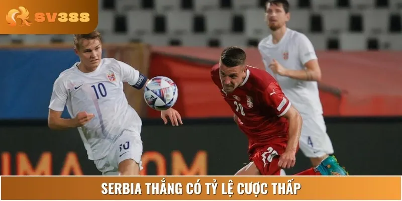 Nhà cái đặt niềm tin lớn vào khả năng giành chiến thắng của Serbia