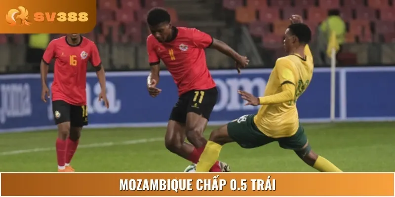 Đội chủ nhà được đánh giá nhỉnh hơn đối thủ nhờ lợi thế sân bãi