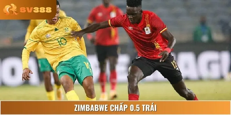 Zimbabwe được đánh giá cao hơn với kèo chấp nhẹ 0.5 trái